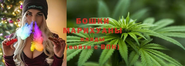 мяу мяу мука Горно-Алтайск