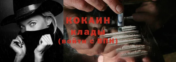 мяу мяу мука Горно-Алтайск