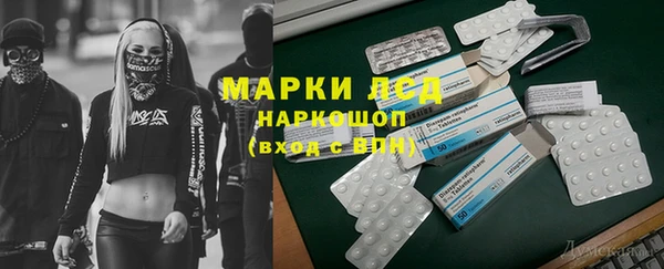 мяу мяу мука Горно-Алтайск