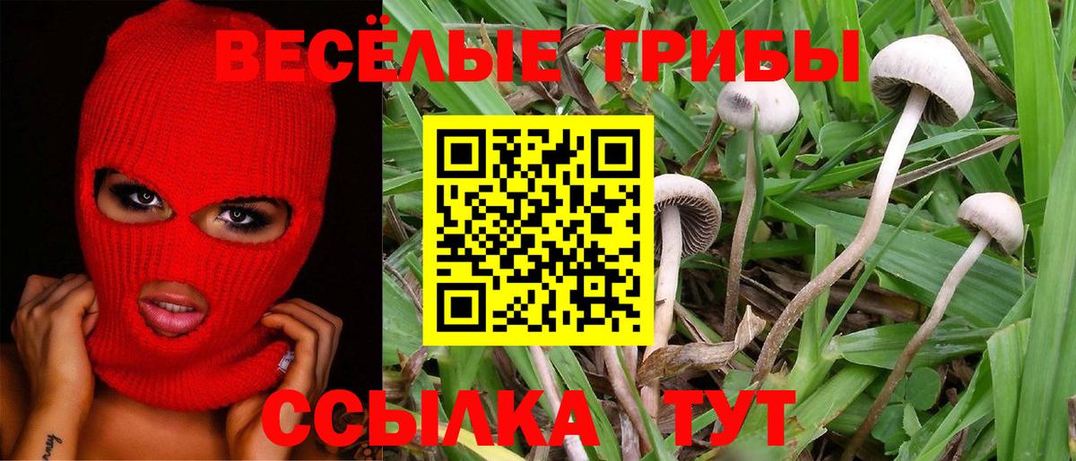 Елабуга  Псилоцибиновые грибы мухоморы  Вход с VPN 